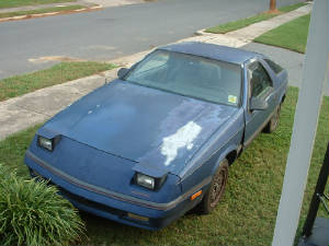 car13.jpg