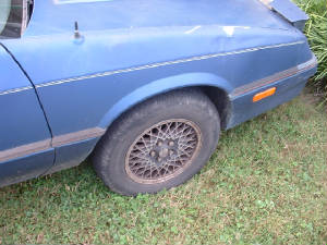 car16.jpg